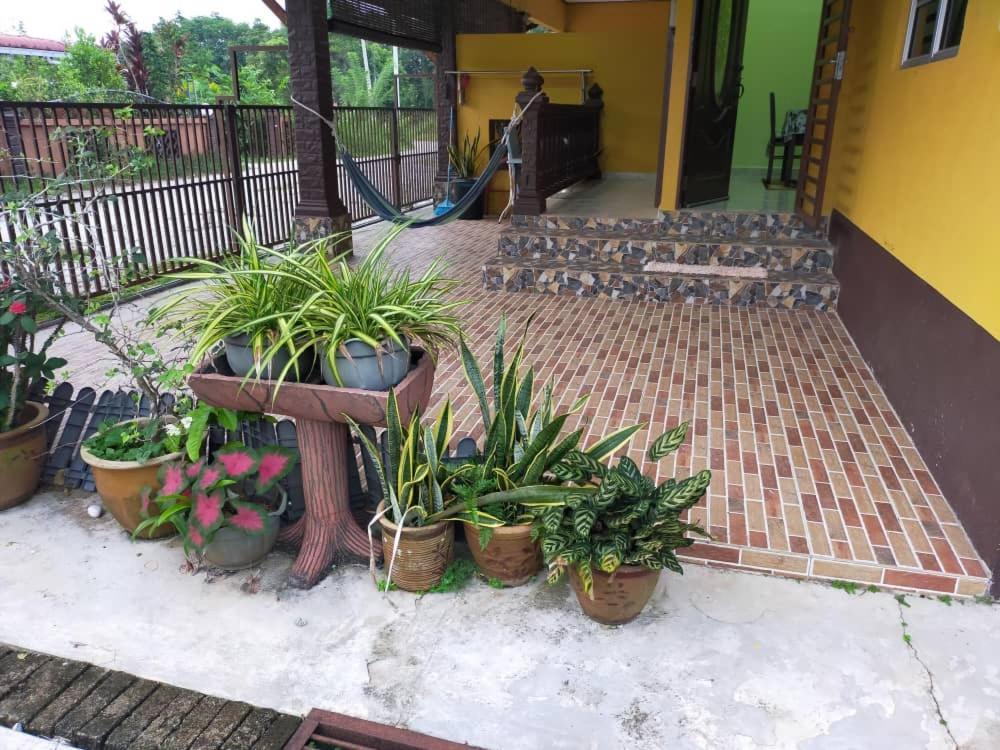 Rumah Tumpangan Di Kuala Terengganu, Terengganu Homestay D 외부 사진